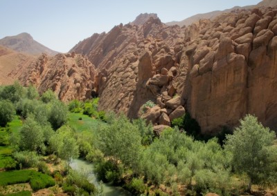 FRA OUARZAZATE: Dagstur: Kasbaher – Oaser – Rosa rosedaler – Dades Gorges