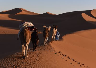 DE M’HAMID: 6 Jours De Circuit En Bivouac Sauvage Au Desert
