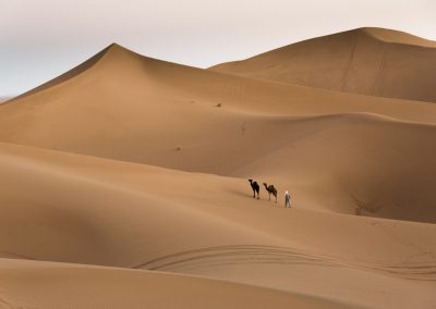 Desert Nomadic Life – Camel Trekking