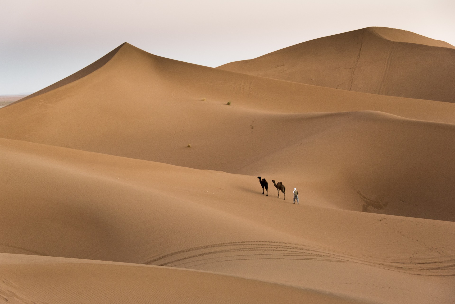 https://www.desert-candles.com/project/sahara-adventure-tour-wild-camps/