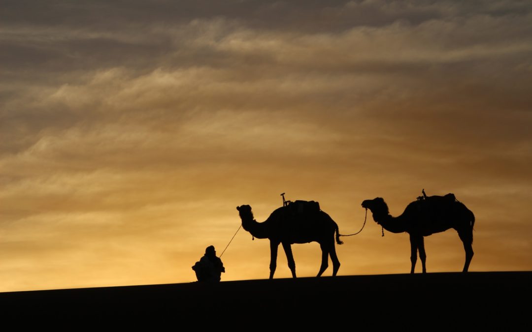 FROM MARRAKECH: 3 Days Desert Tour: Ait Ben Haddou – Erg Chigaga – Desert camp