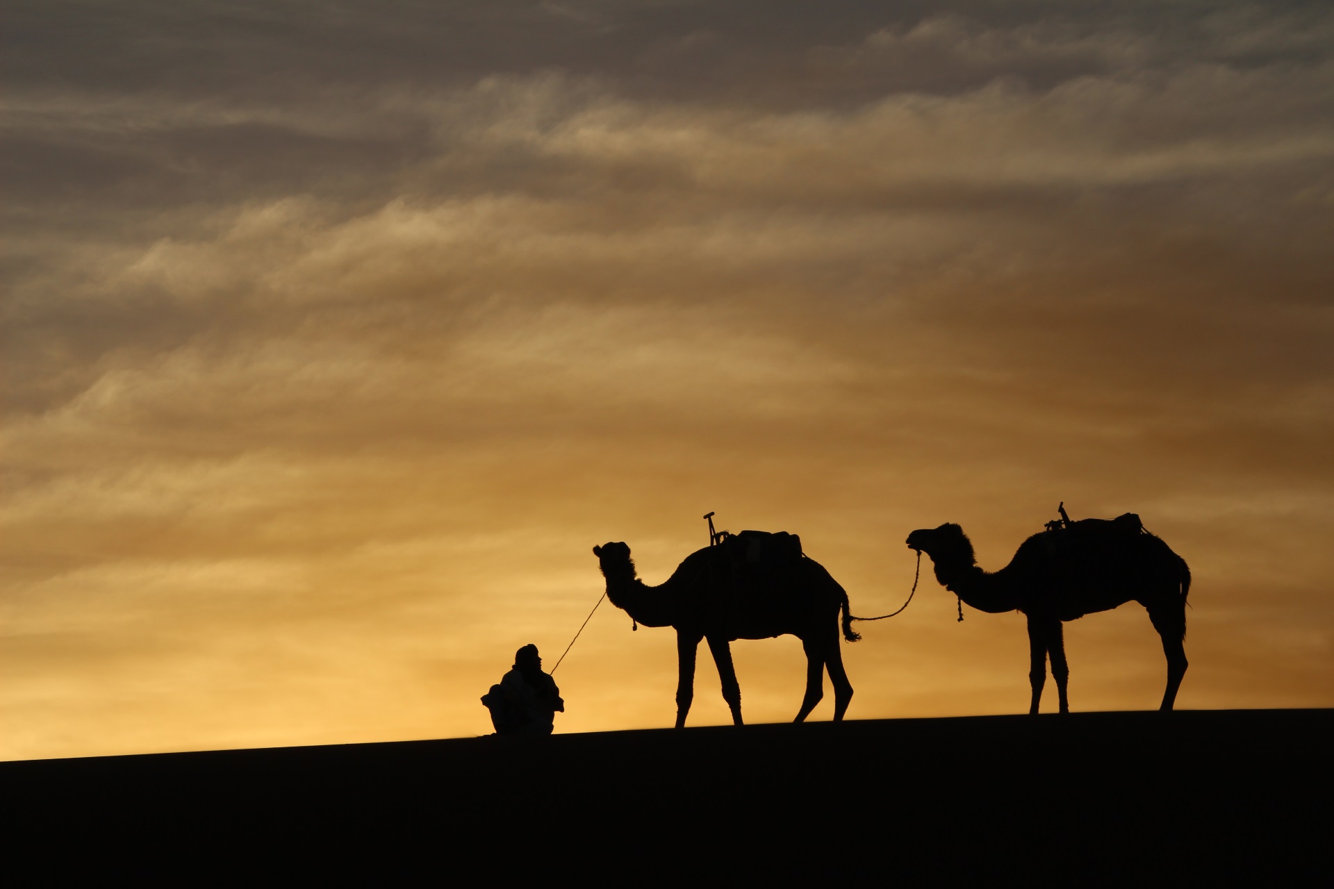 desert candles tours