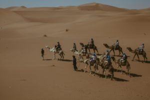 Desert. Poto: Elisabeth Fosse