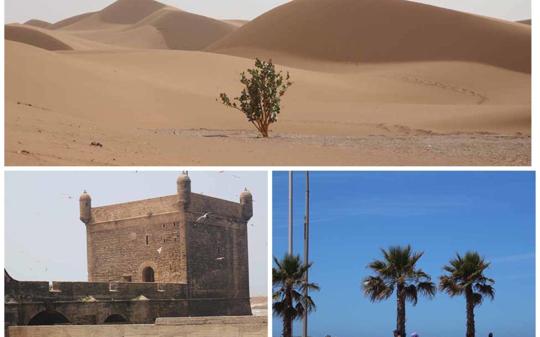 FROM MARRAKECH: 4 Days Tour:  Sahara Desert and Atlantic Ocean