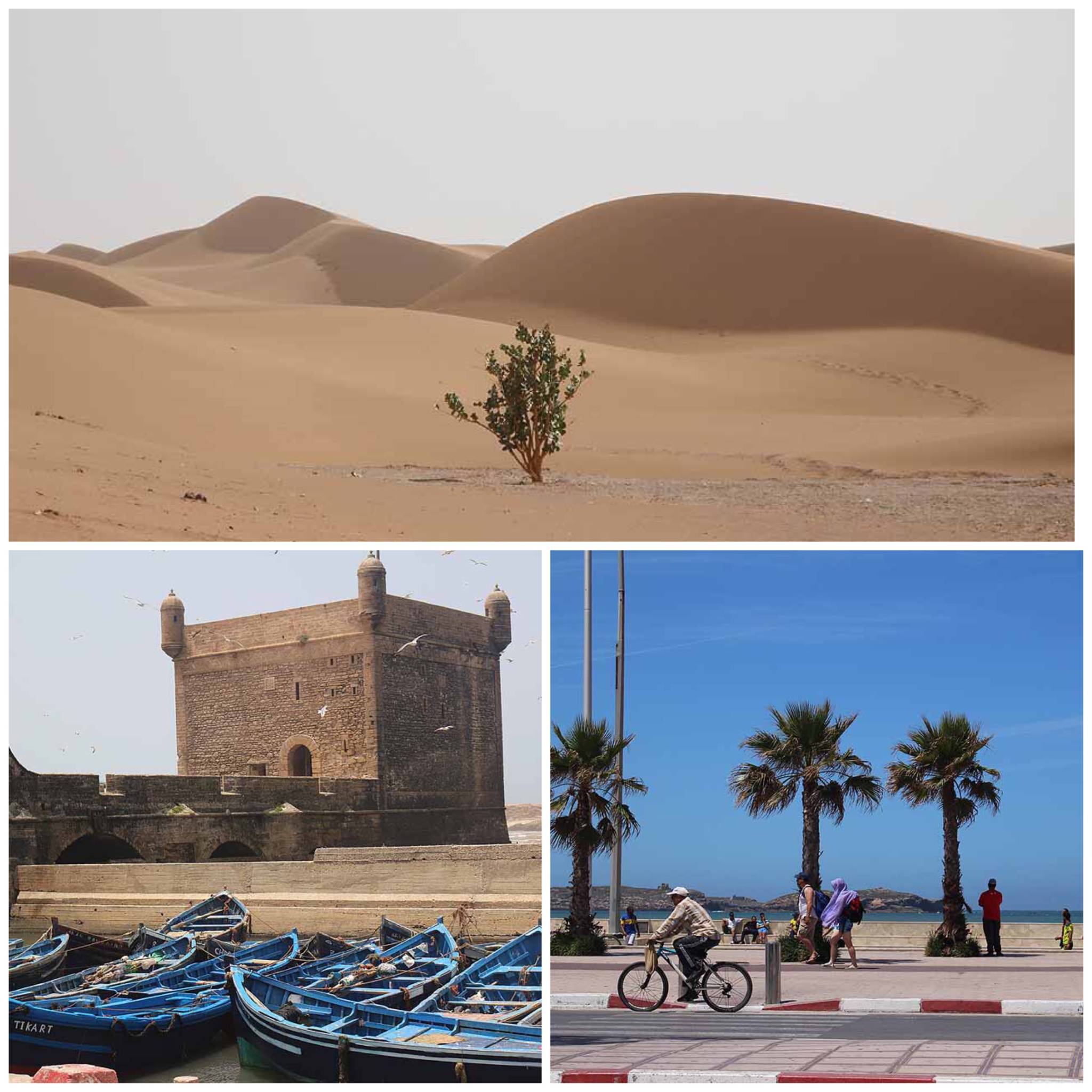 https://www.desert-candles.com/project/marrakech-draa-valley-dunes-of-erg-lihoudi/
